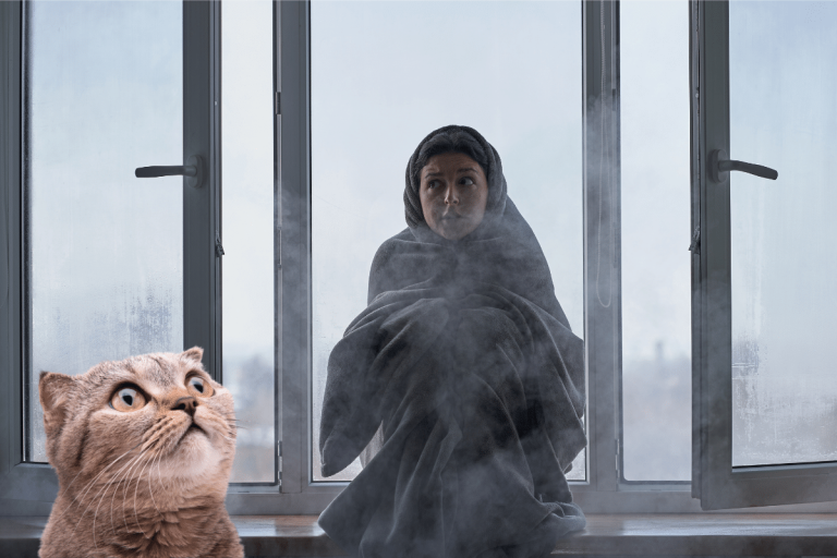 L'isolation ne suffit pas : voici comment empêcher le froid de rentrer par les fenêtres