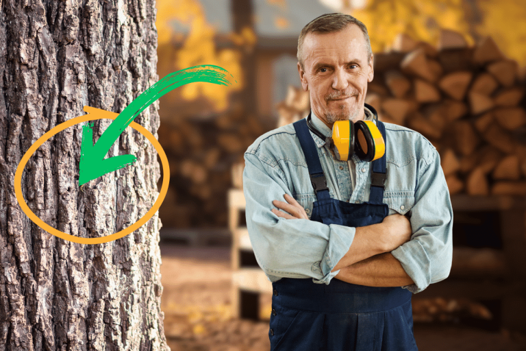 Le bois de chauffage qui chauffe le plus est simple à reconnaitre, ce spécialiste nous montre