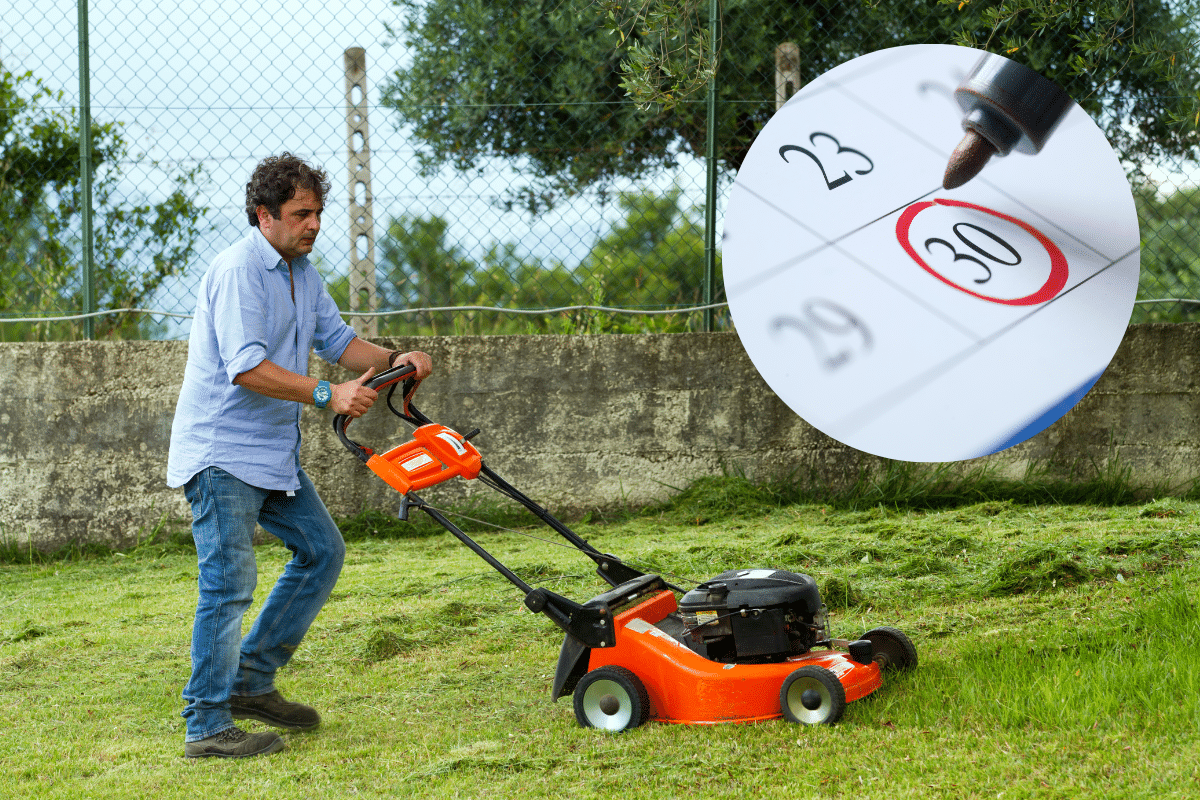 Ne tondez surtout pas votre pelouse après cette date : vous provoqueriez des dommages irréversibles